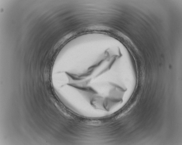 X0000082710833200702232254