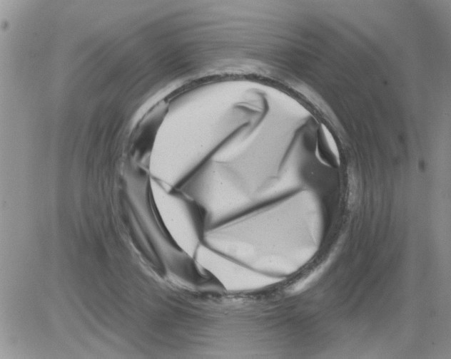 X0000082710834200702232254