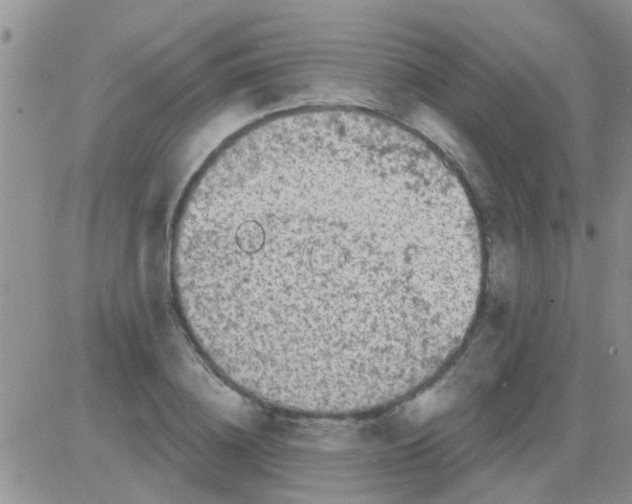 X0000082710836200702232254