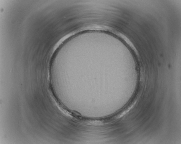 X0000082710837200702232254