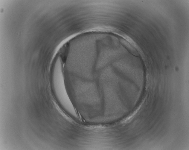 X0000082710838200702232254