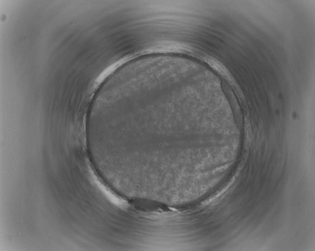 X0000082710842200702232254