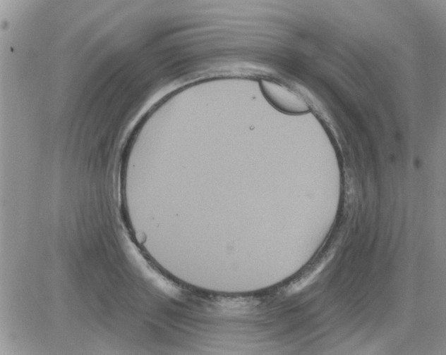 X0000082710843200702232254