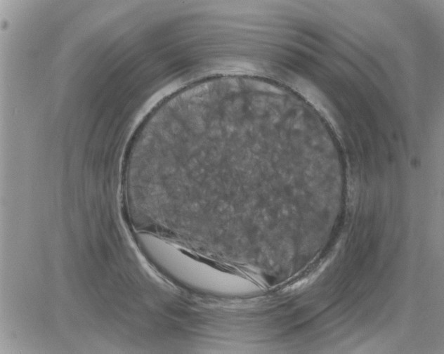 X0000082710845200702232254