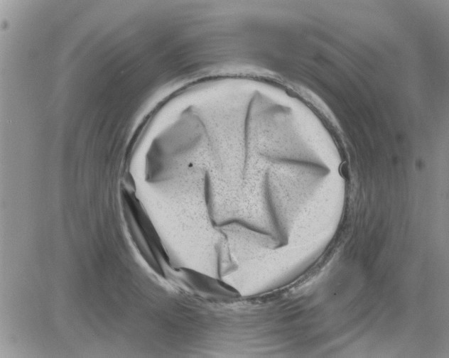 X0000082710847200702232254