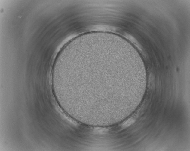 X0000082710848200702232254