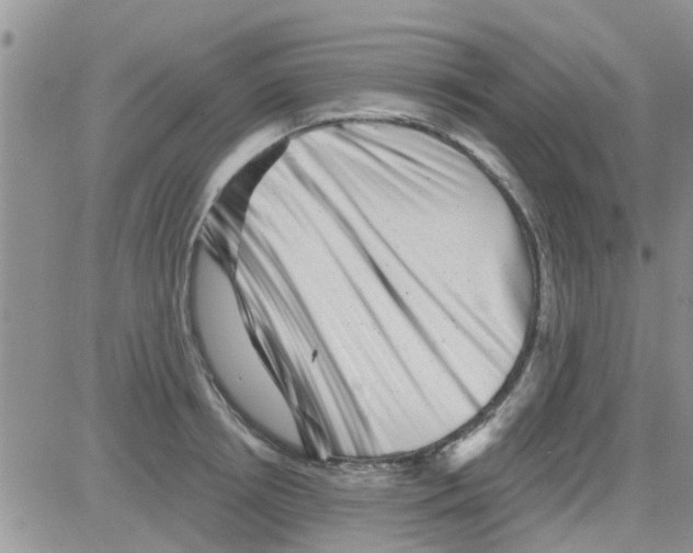 X0000082710850200702232254