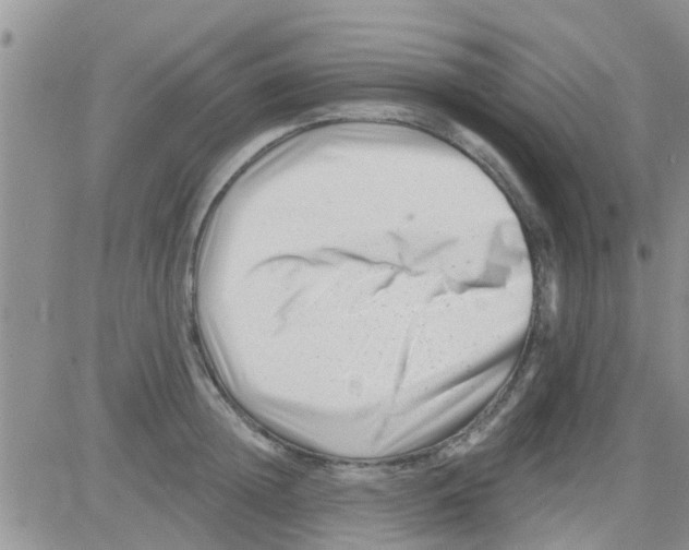 X0000082710852200702232254