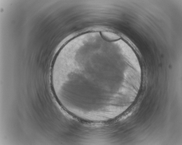 X0000082710853200702232254