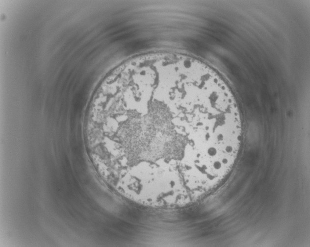 X0000082710856200702232254