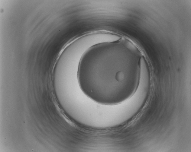 X0000082710858200702232254