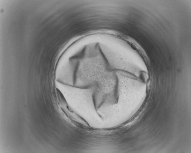 X0000082710860200702232254