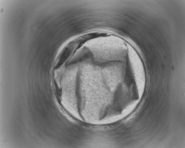 X0000082710862200702232254