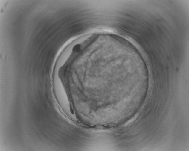 X0000082710864200702232254