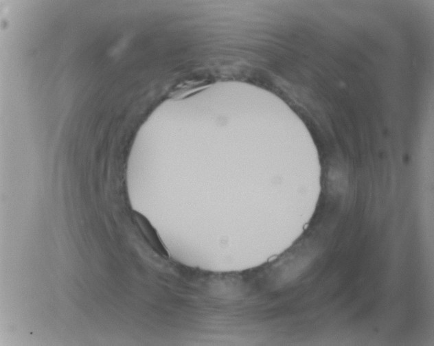 X0000082710865200702232253