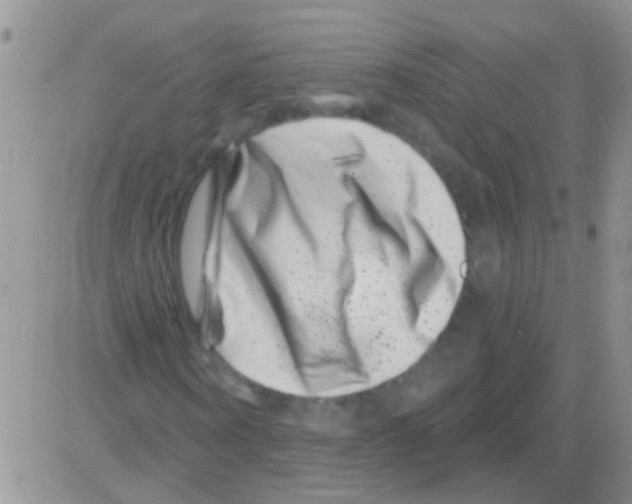 X0000082710866200702232253