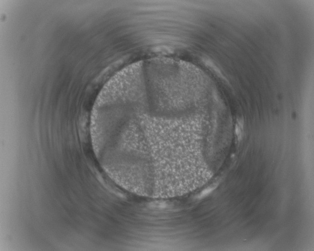 X0000082710867200702232253