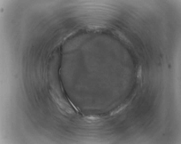 X0000082710868200702232253