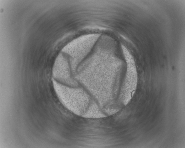 X0000082710870200702232253