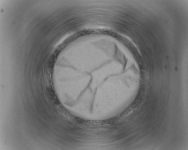 X0000082710871200702232253