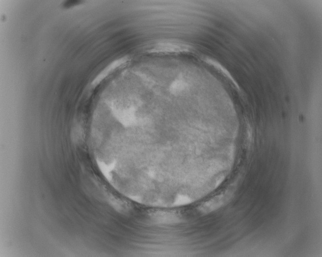 X0000082710874200702232253