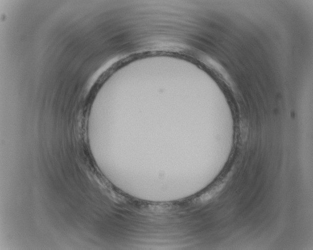 X0000082710875200702232253