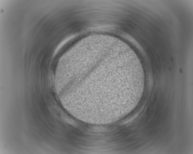 X0000082710878200702232253