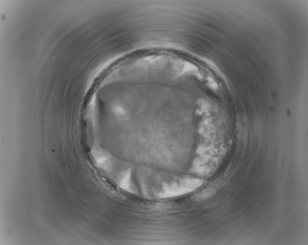 X0000082710879200702232253