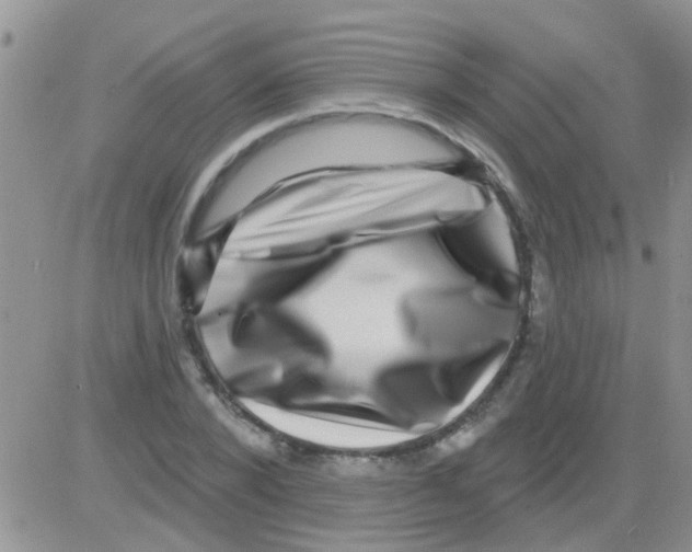 X0000082710880200702232253