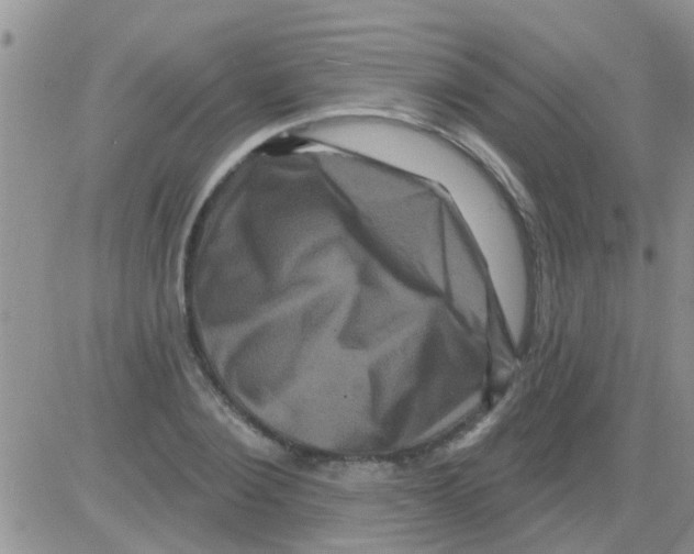 X0000082710884200702232253