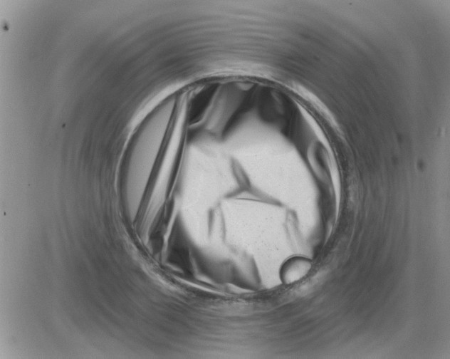 X0000082710885200702232253