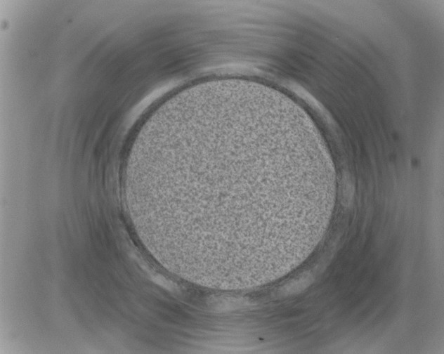 X0000082710886200702232253