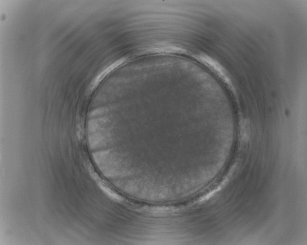 X0000082710889200702232253