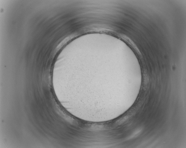 X0000082710890200702232253