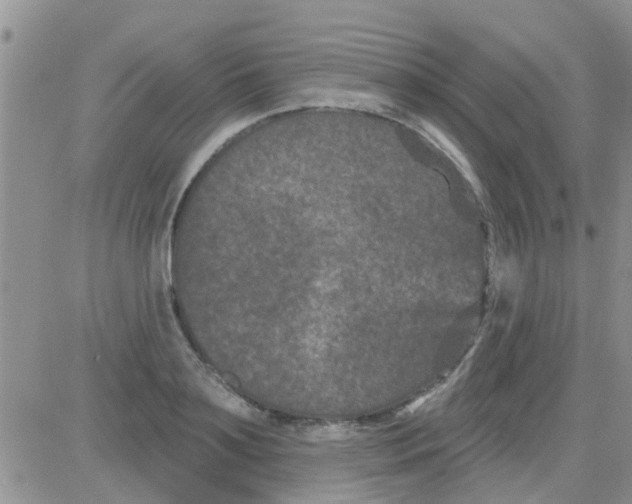 X0000082710891200702232253