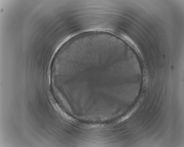 X0000082710892200702232253