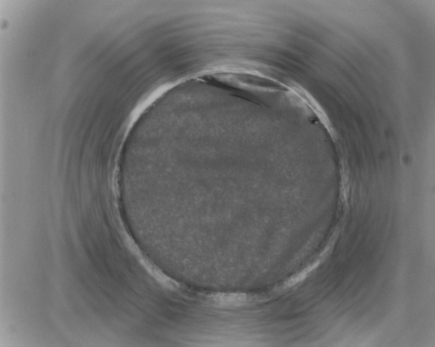 X0000082710893200702232253