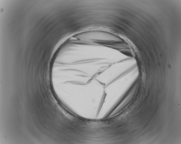 X0000082710894200702232253