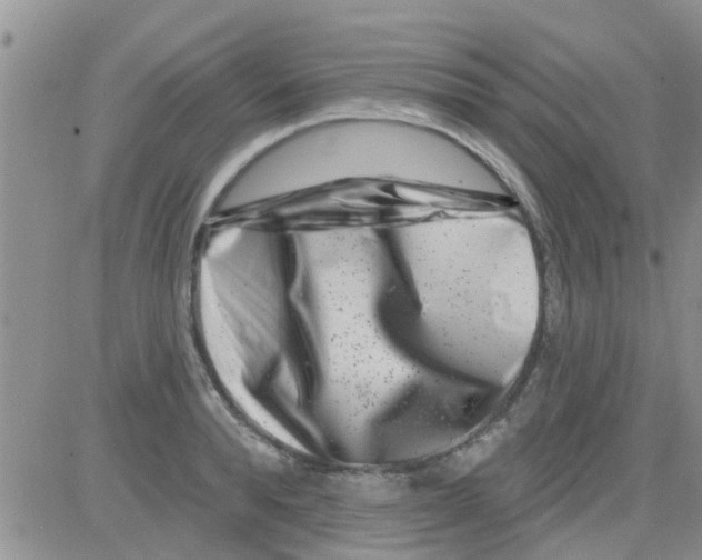 X0000082710896200702232253