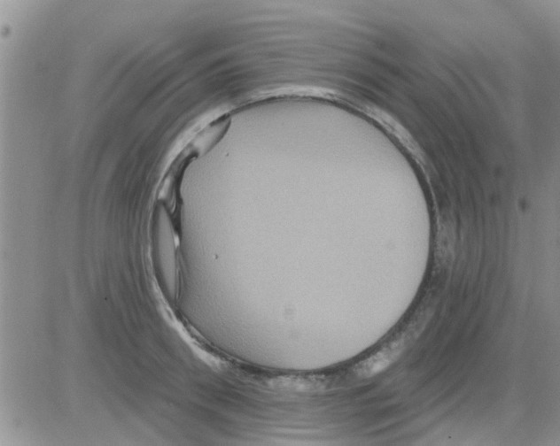 X0000082710898200702232253