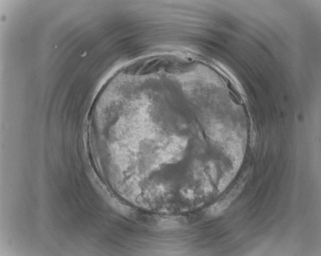 X0000082710899200702232253