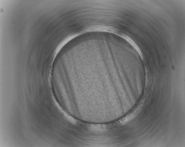 X0000082710901200702232253