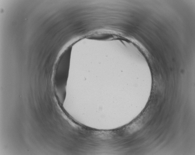 X0000082710902200702232253