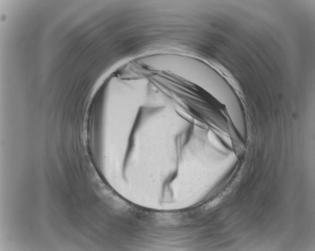 X0000082710904200702232253