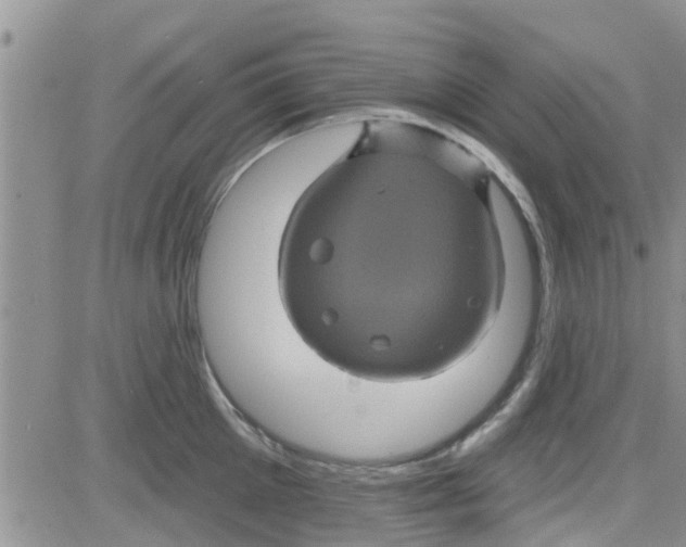 X0000082710905200702232253