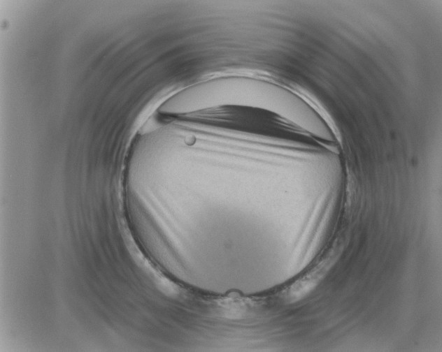 X0000082710906200702232253