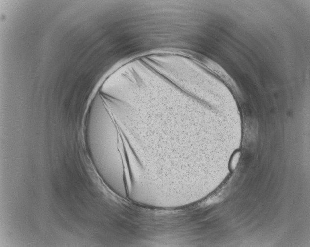 X0000082710908200702232253