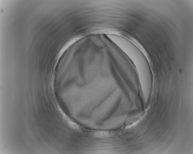 X0000082710909200702232253