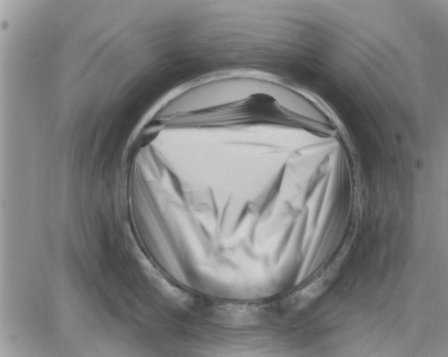 X0000082710910200702232253