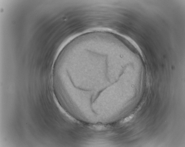 X0000082710911200702232253